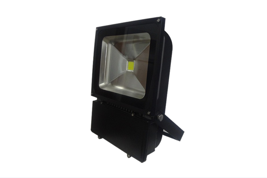 Đèn pha kính nước LED 30W